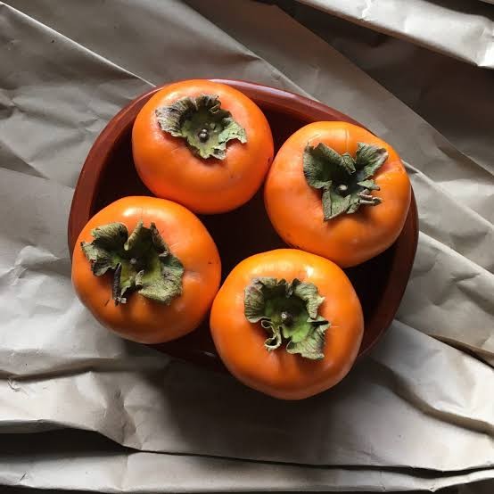 Persimmon Grafted Fruit Plant