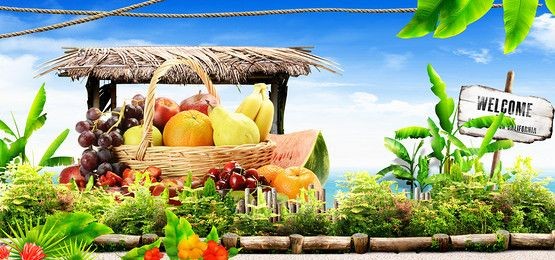 Fruit Plants