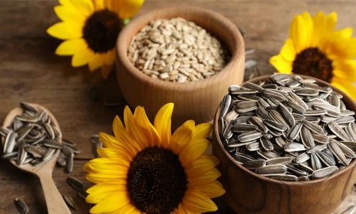 Seeds